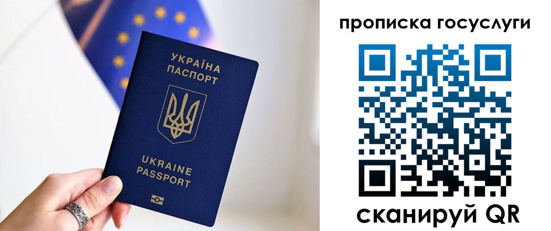 временная регистрация для всех в Камчатской области